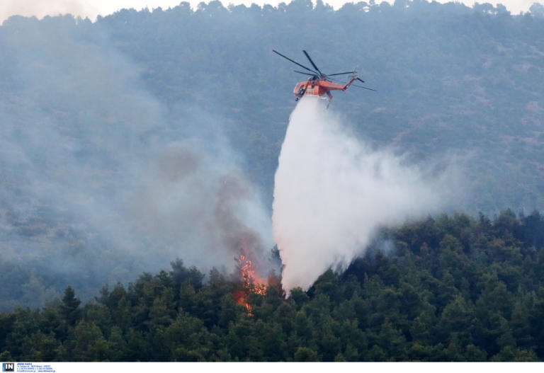 Φωτιά στην Τανάγρα: Ηρωικές οι προσπάθειες των πυροσβεστών που προσπαθούν να την θέσουν υπό έλεγχο