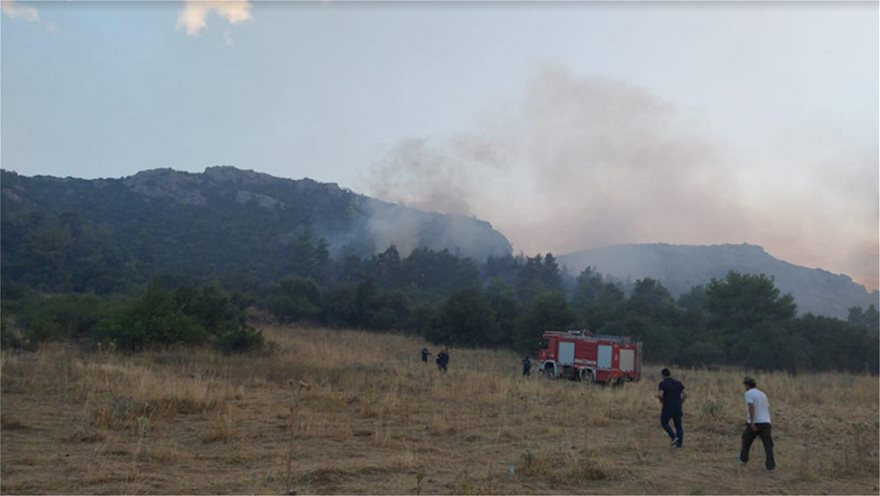 Πυρκαγιά στην Τανάγρα: Ολονύχτια μάχη με τις φλόγες (βίντεο-φωτο)