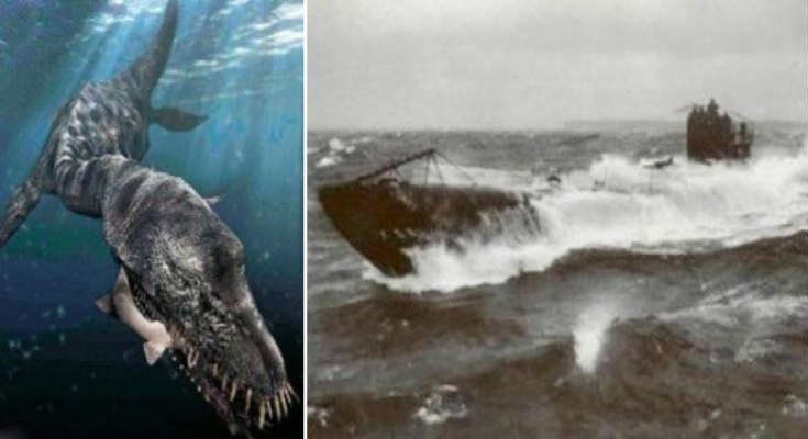 Θαλάσσιο ον βύθισε γερμανικό υποβρύχιο στον Α΄Παγκόσμιο Πόλεμο; – Βρέθηκε το ναυάγιο του (φωτό)