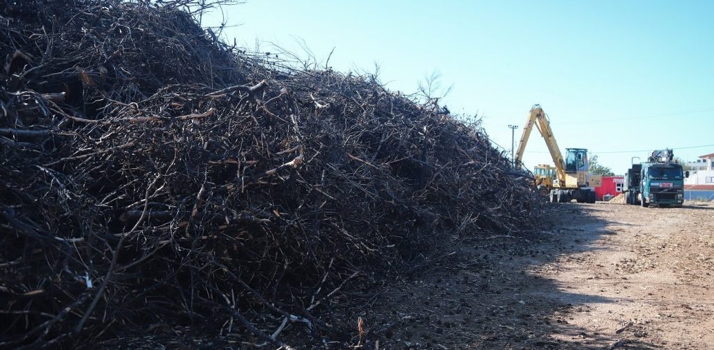 Κίνδυνος θάνατος στο Μάτι: 20 χιλιάδες τόνοι από εύφλεκτα υλικά καμένων κορμών παραμένουν σε ένα οικόπεδο