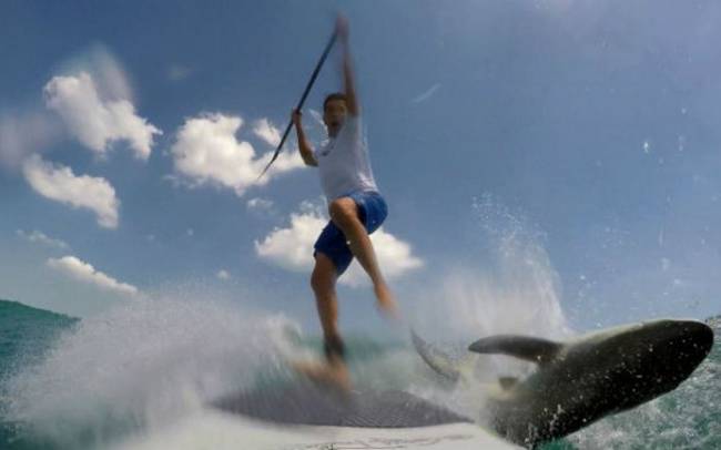 Τρομακτική συνάντηση: Σέρφερ τρακάρει με… καρχαρία (vid)