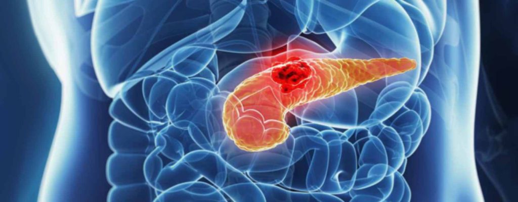 Αποτοξίνωση στο πάγκρεας: Με ποιες τροφές γίνεται