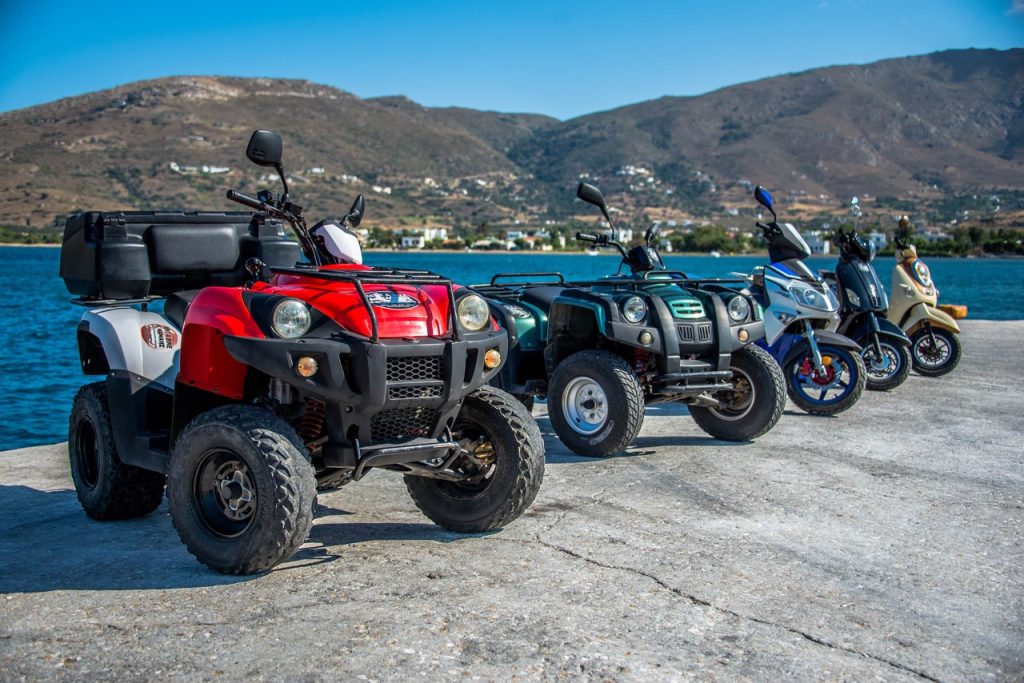 Επιστρέφουν οι γουρούνες στα νησιά – Αρμοδιότητα των Δήμων ο περιορισμός στην κυκλοφορία τους