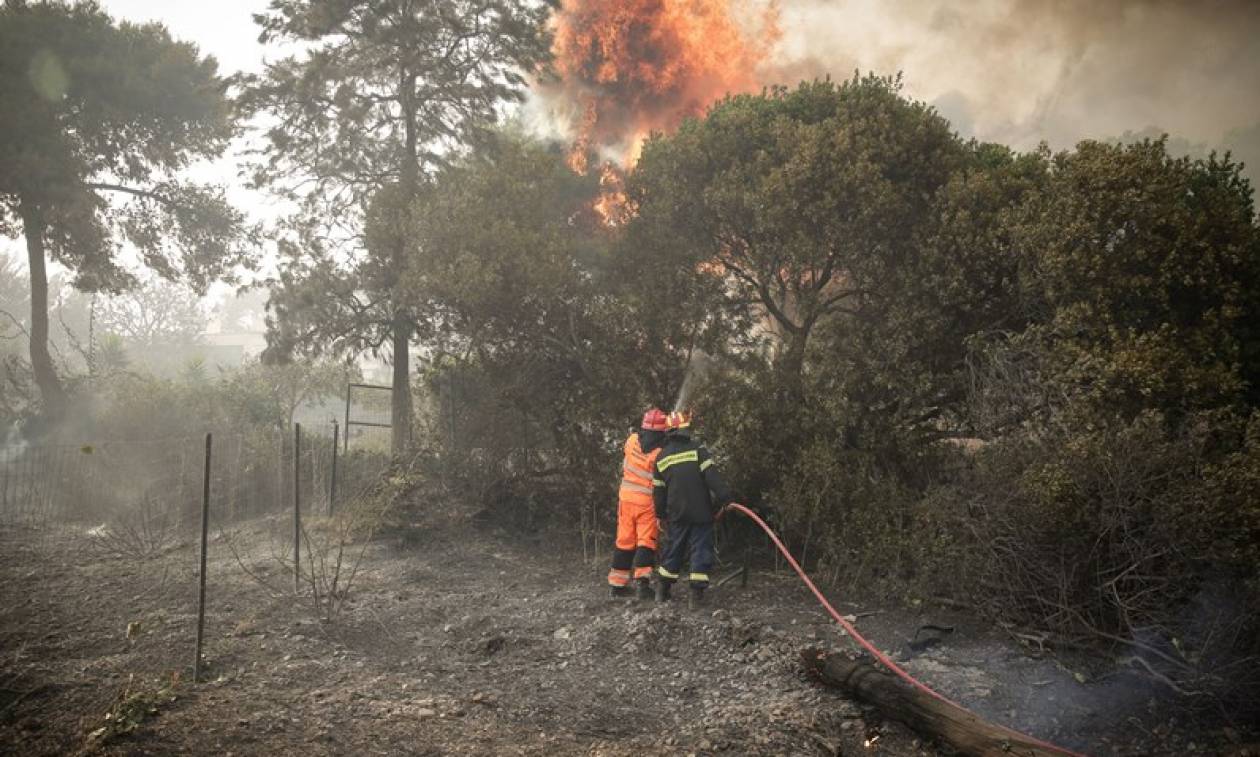 «Οι θερμικές εστίες ήταν τελικά από τη ΔΕΗ» λέει το πόρισμα της Πυροσβεστικής για την φωτιά στην Κινέτα