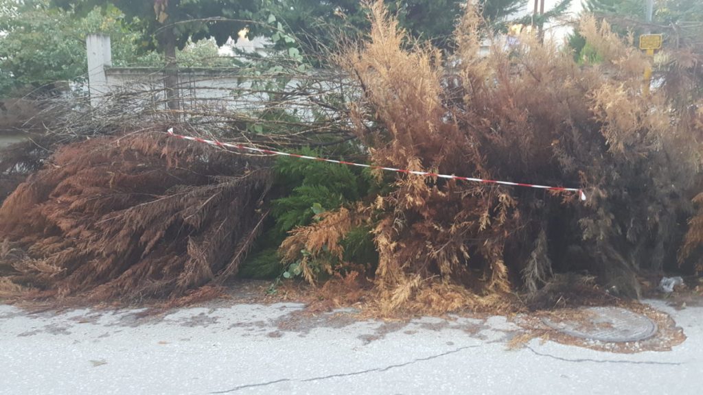Κίνδυνος ενόψει καύσωνα στην Σαρωνίδα – Μεγάλος ο κίνδυνος πυρκαγιάς – Δείτε γιατί