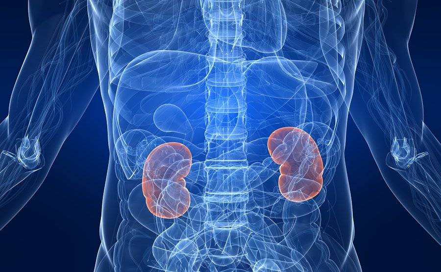 Οξεία νεφρική ανεπάρκεια: Πως θα το αντιλαμβάνεται η google δύο μέρες πριν εκδηλωθεί