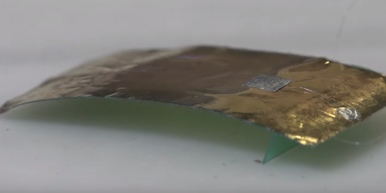 Αυτή η κατσαρίδα δεν πεθαίνει ποτέ! – Τι έφτιαξαν οι επιστήμονες (βίντεο)