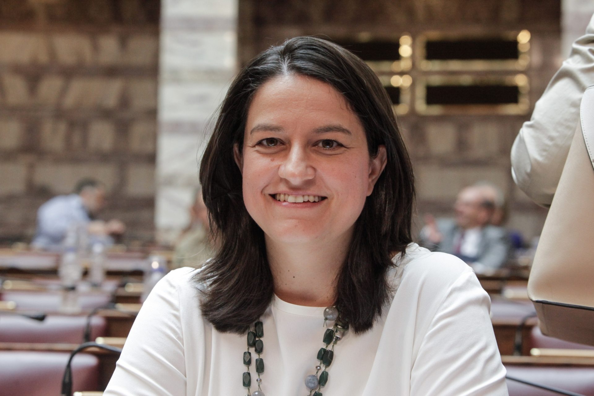 Ν Κεραμέως: «Έκνομες ενέργειες που κατέλυαν το άσυλο, όπως βιαιοπραγίες και εκφοβισμοί θα αποτρέπονται»