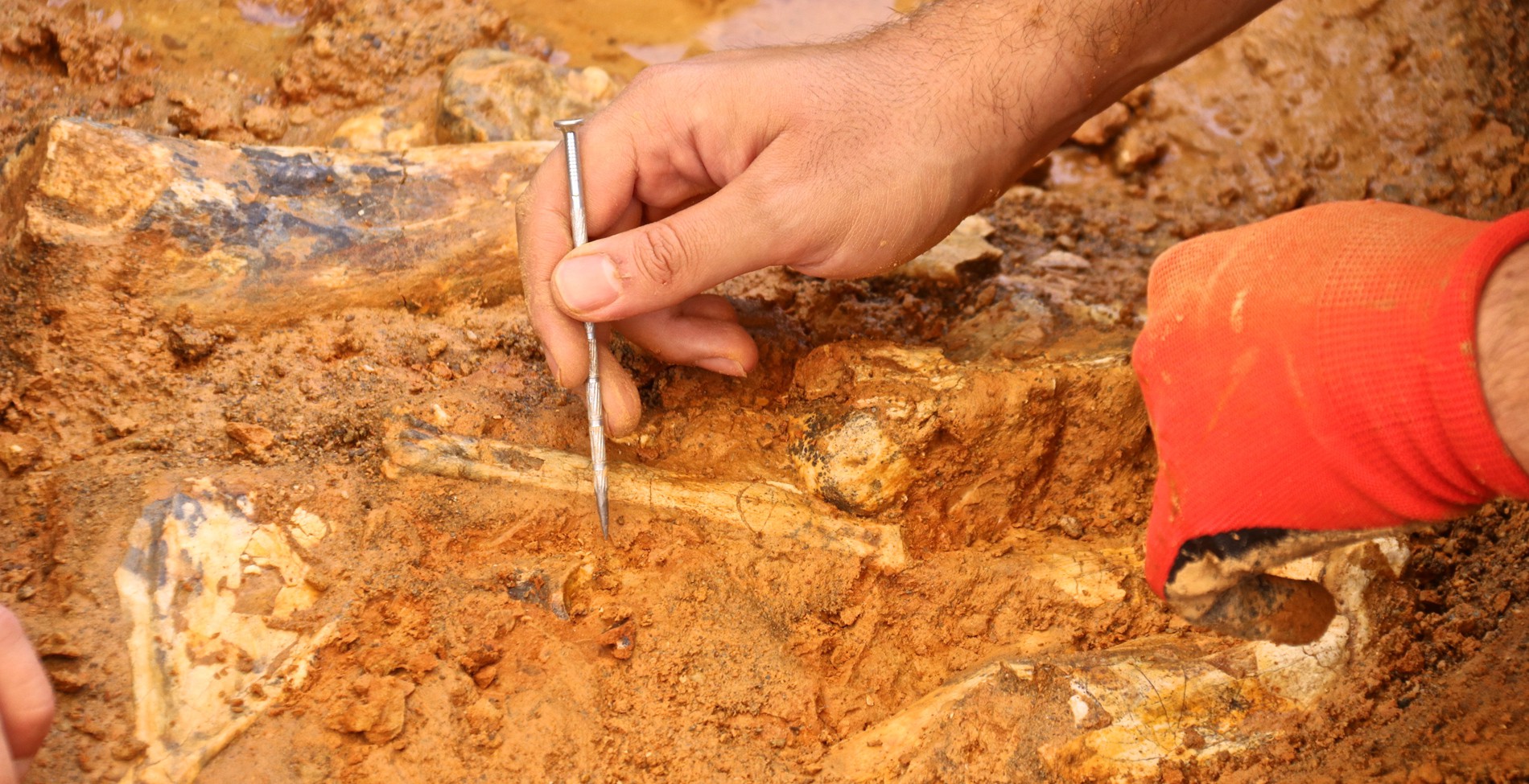 Αρχαιολόγοι ανακάλυψαν κρανίο που δείχνει πως πραγματοποιούνταν επεμβάσεις νευροχειρουργικής από το 200 π.Χ. (βίντεο)