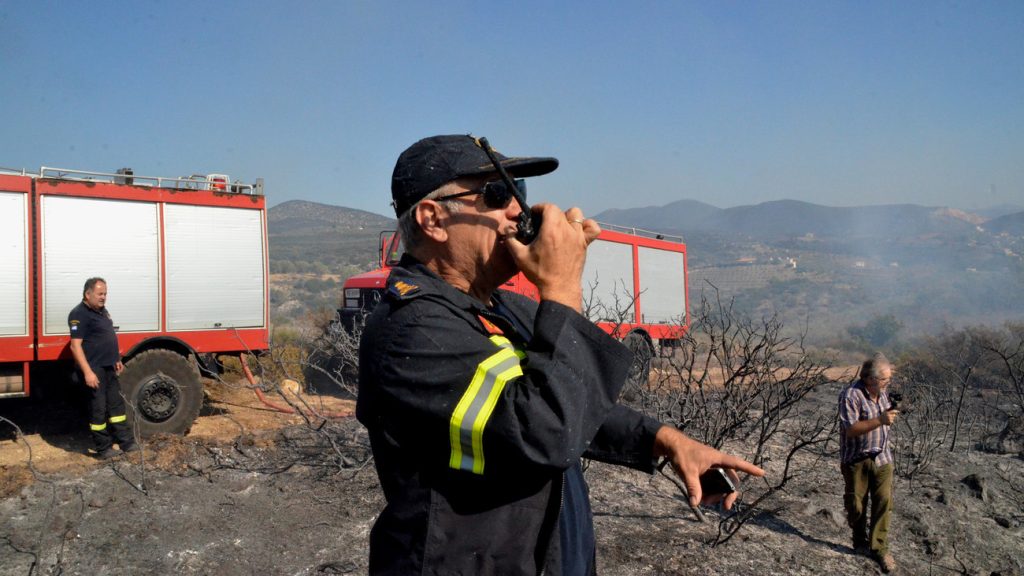 Πυρκαγιά ξέσπασε σε δασική έκταση στην περιοχή Κοκκίνω Φαρσάλων