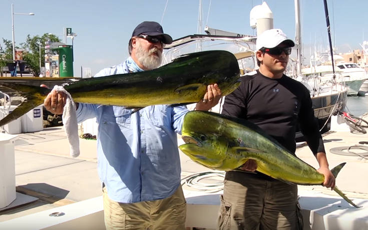Βάλτε καλού-κακού μια κάμερα να καταγράφει – Ποτέ δεν ξέρετε τι θα γίνει