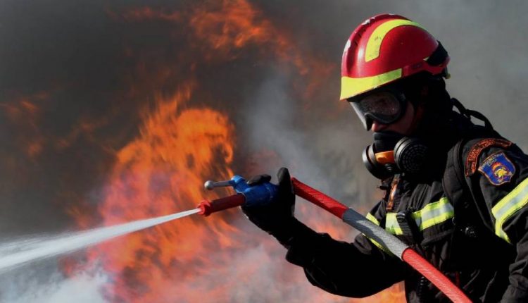 Φάρσαλα: Υπό μερικό έλεγχο η φωτιά – Έχει κάψει 300 στρέμματα δάσους