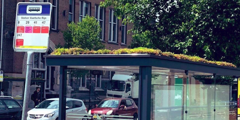 Ουτρέχτη: Οι στάσεις λεωφορείων που «φιλοξενούν» μέλισσες (βίντεο)