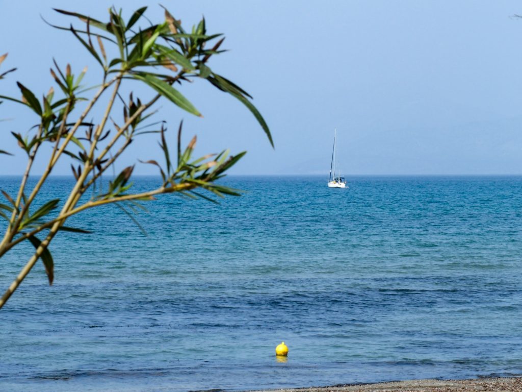 Καιρός: Ανεβαίνει ξανά ο υδράργυρος – Ενισχύονται τα μποφόρ