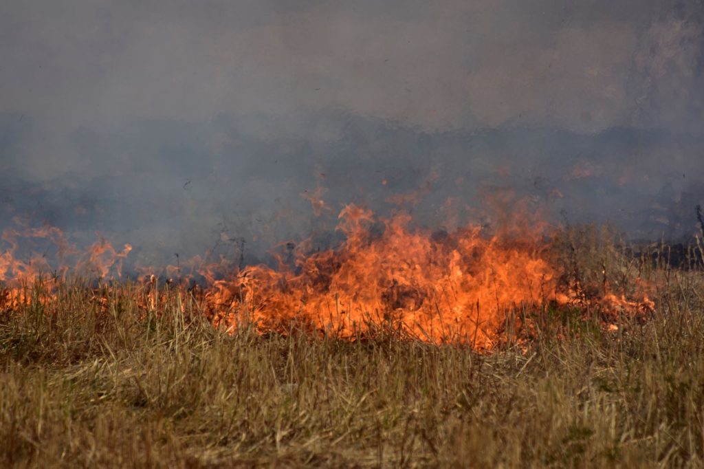 Οριοθετήθηκε η φωτιά στο Ξυλόκαστρο – Παραμένουν ισχυρές δυνάμεις της πυροσβεστικής στην περιοχή
