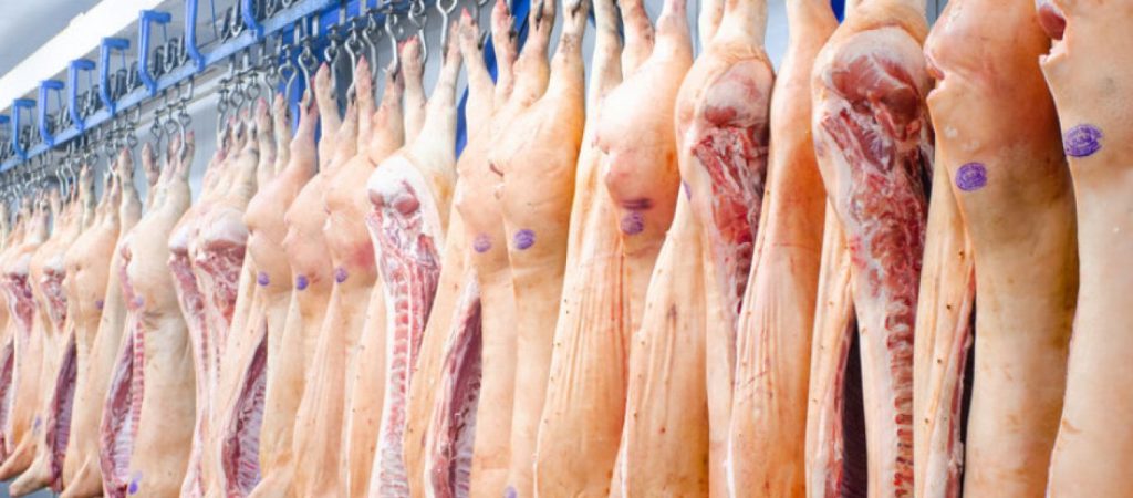 Βουλγαρία: Απώλεια περίπου 25.000 θέσεων εργασίας από την πανώλη των χοίρων