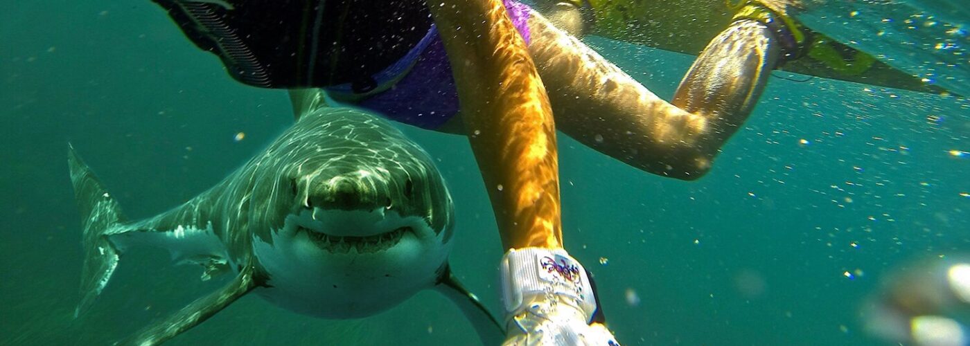 Νέα Σμύρνη: Η… παραλία που αγαπούν οι καρχαρίες – Τρεις επιθέσεις σε λίγες ώρες