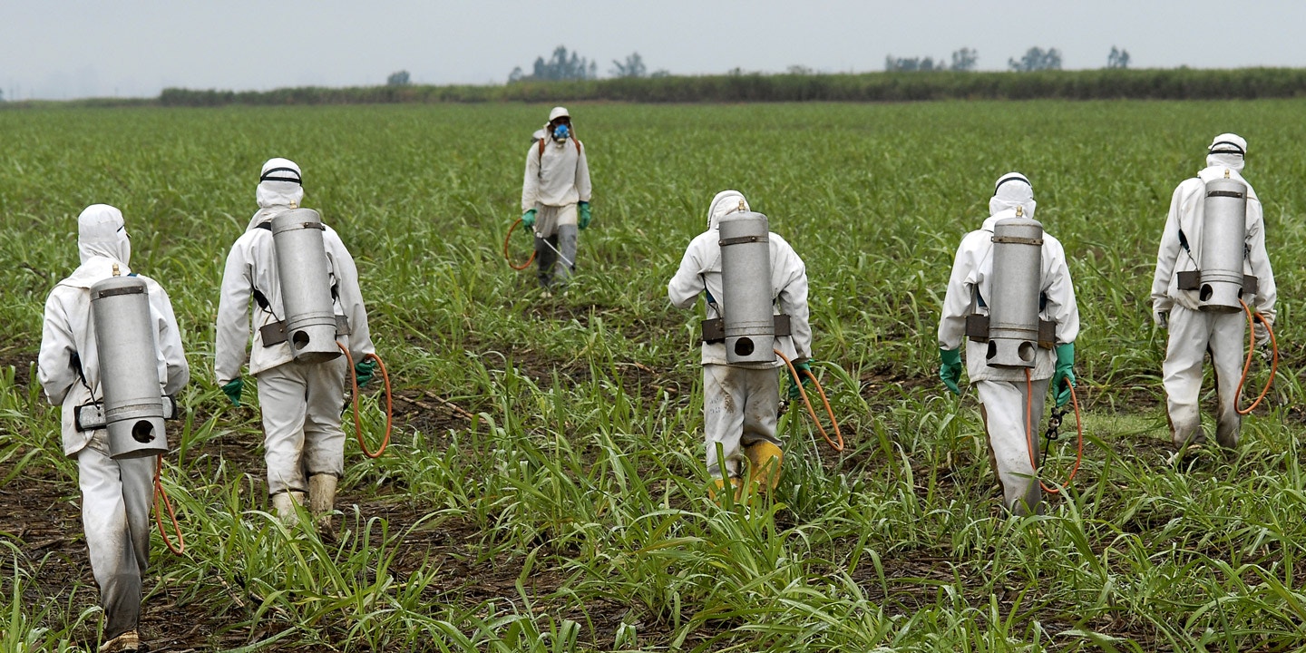 Guardian: Η Monsanto «φακέλωνε» όσους δημοσιογράφους αποκάλυπταν τις ζημιές που προκαλούσε στην υγεία το Round up