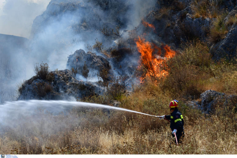 Πυρκαγιά στους Ελαιώνες Πυλαίας πίσω από μαιευτική κλινική