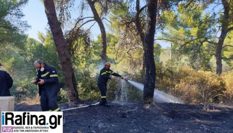 Βίντεο και φωτογραφίες από τη φωτιά στον Άγιο Ανδρέα Ζούμπερι