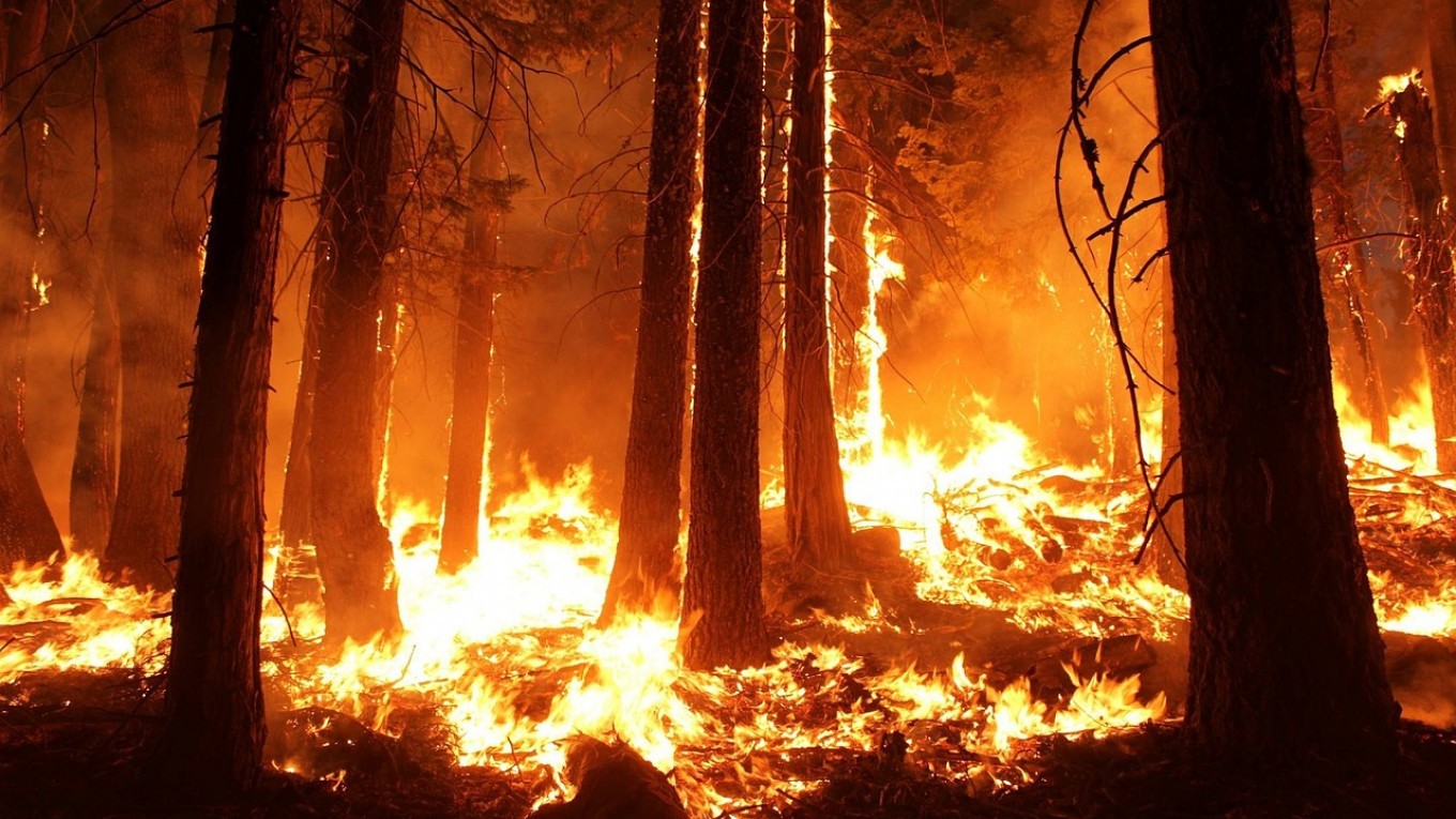 Νεα μέτωπα πυρκαγιών σε Πρέσπες και Κιλκίς: Κατευθείαν έσπευσε η πυροσβεστική