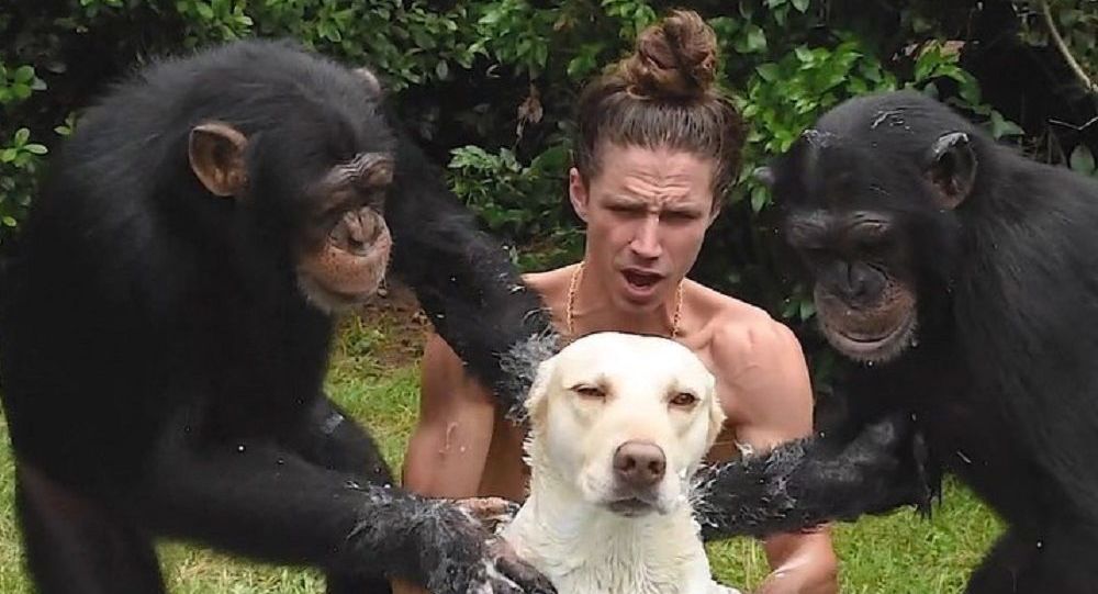 Σκύλος απολαμβάνει το μπάνιο του από χιμπατζήδες (βίντεο)