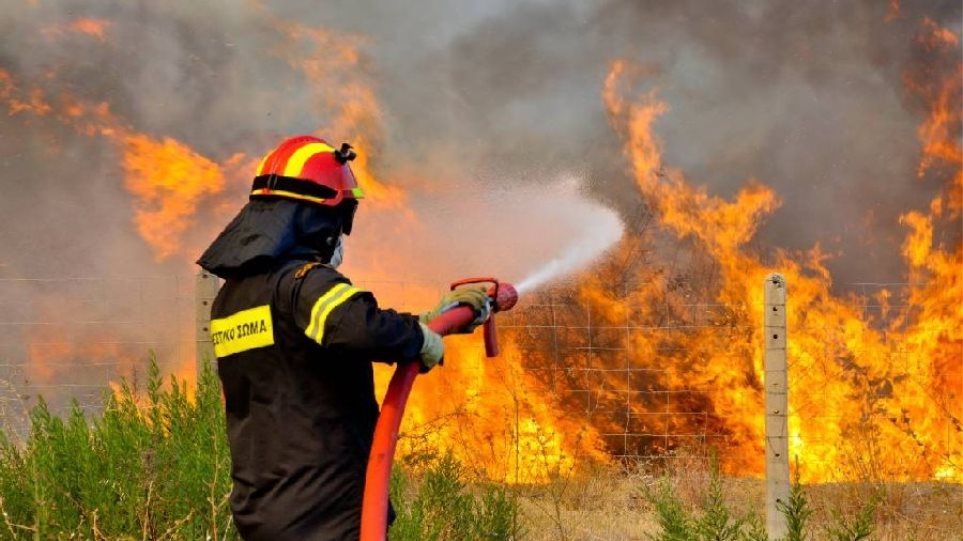 Άρτα: Ξέσπασε πυρκαγιά σε δασική έκταση