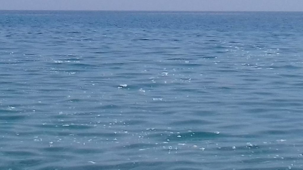 Όταν βλέπουμε αφρό στην θάλασσα σημαίνει πως είναι βρώμικη;