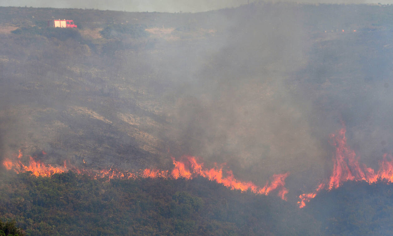 Φωτιά στην Εύβοια: Δείτε live εικόνα από την περιοχή Μακρυμάλλη (βίντεο)