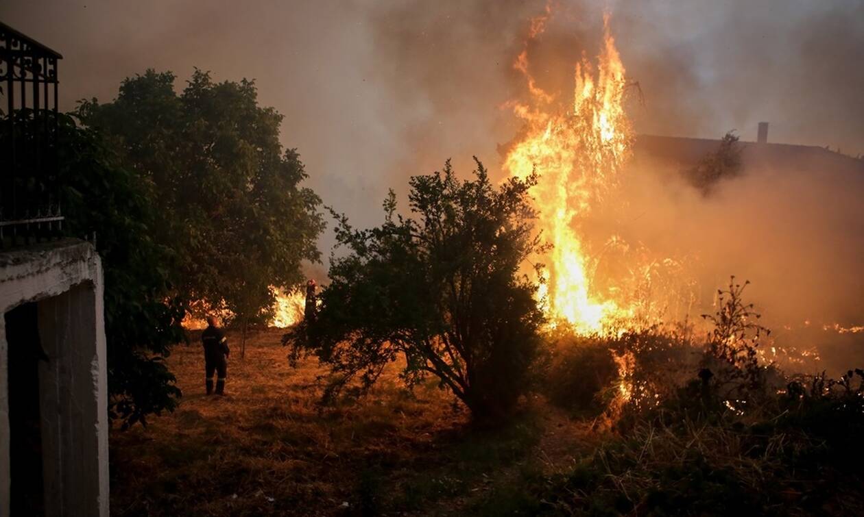 Εύβοια: Σταμάτησαν με μπουλντόζες τη φωτιά προς τα Ψαχνά