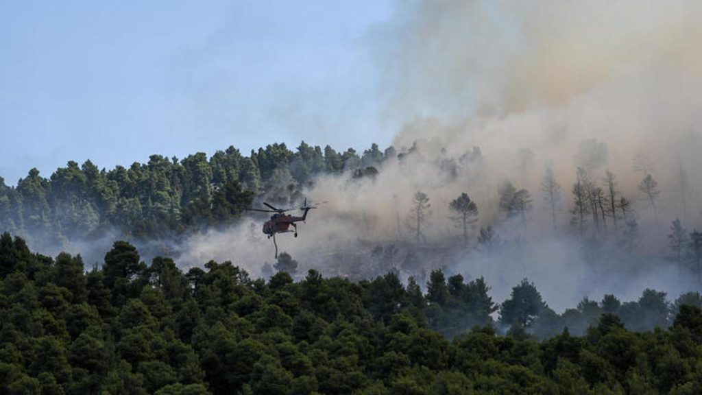 Eύβοια: Πυρκαγιά καίει δάσος Natura – Ζητήθηκε η συνδρομή των κατοίκων! (βίντεο, φωτό)
