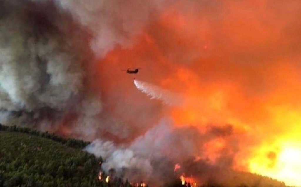 Φωτιά στην Εύβοια: Αντιπυρική ζώνη έξω από τα Ψαχνά (φωτο)