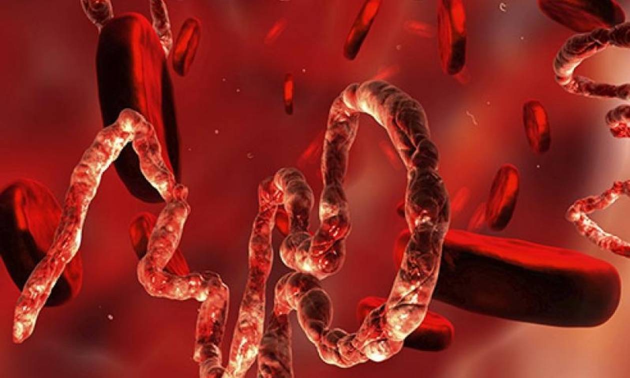 Ιός Έμπολα: Δύο νέα φάρμακα σώζουν το 90% των ασθενών