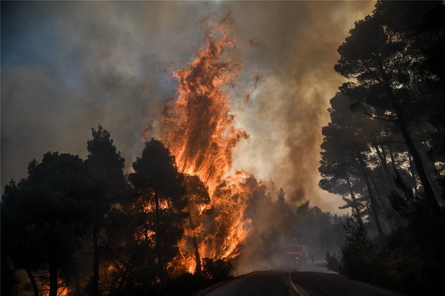 Εύβοια: Κάηκε το δάσος Natura αλλά σώθηκαν τα χωριά – Μεγάλη καταστροφή – Οι φλόγες έφτασαν τα 20 μέτρα! (βίντεο)