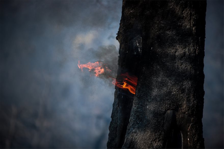 Εύβοια: Δεν έχει τέλος η μάχη με τις φλόγες – Συνεχείς αναζωπυρώσεις- Κοντά στο χωρίο Πλατάνα η φωτιά (φώτο) (upd)