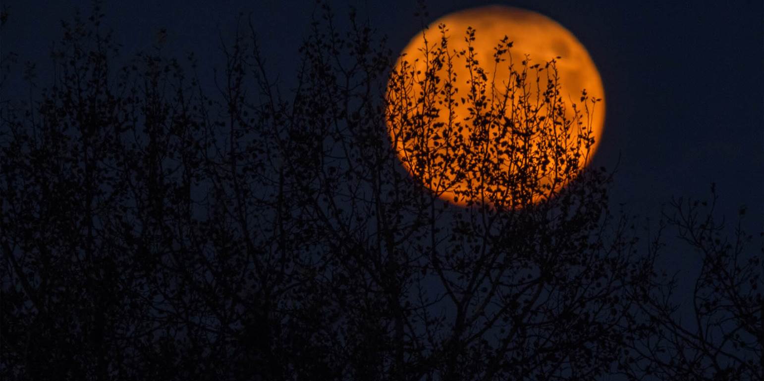 Πανσέληνος τον Δεκαπενταύγουστο: Γιατί θα είναι μικρότερο το φεγγάρι από κάθε άλλη φορά