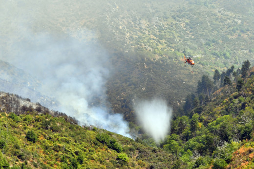 Πυρκαγιά εκδηλώθηκε στα Καλάβρυτα – Σπεύδουν δυνάμεις της Πυροσβεστικής