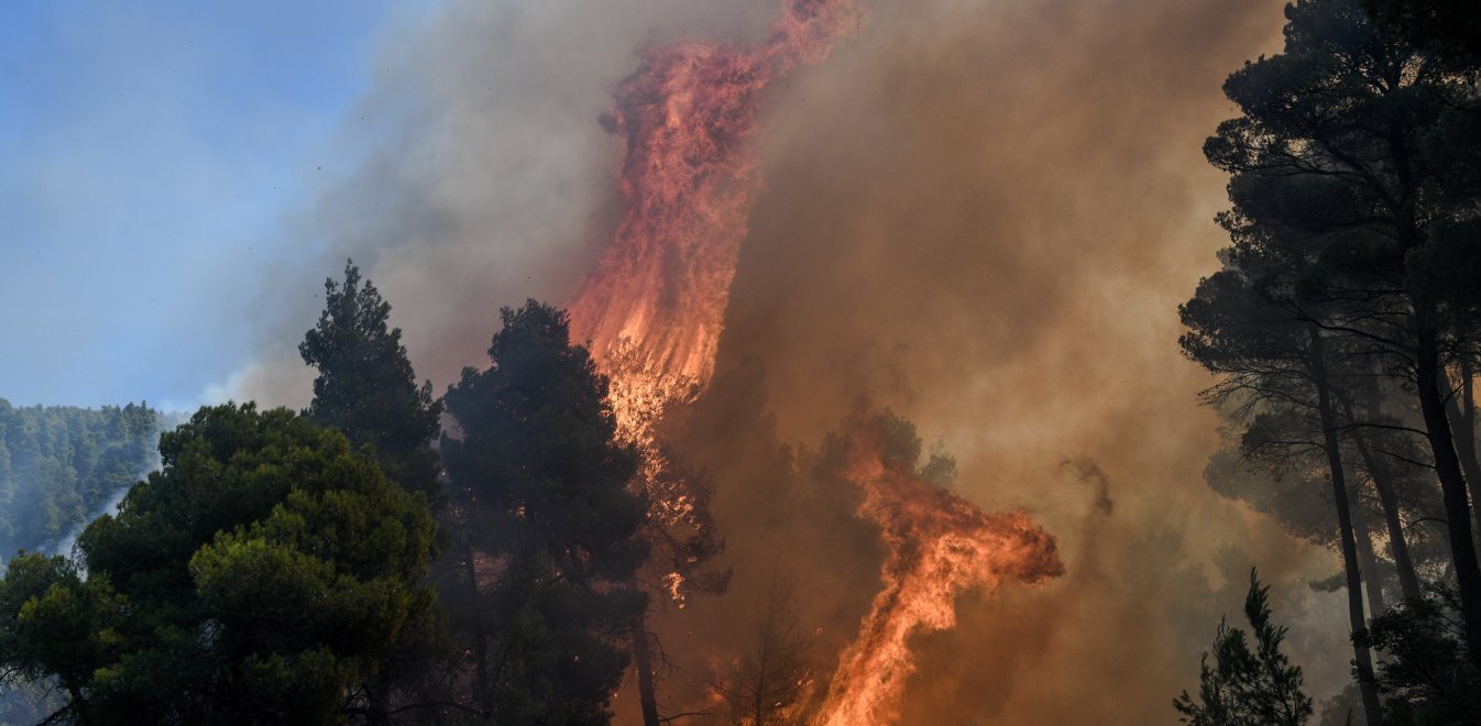 Φωτιά στην Κέρκυρα σε περιοχή natura