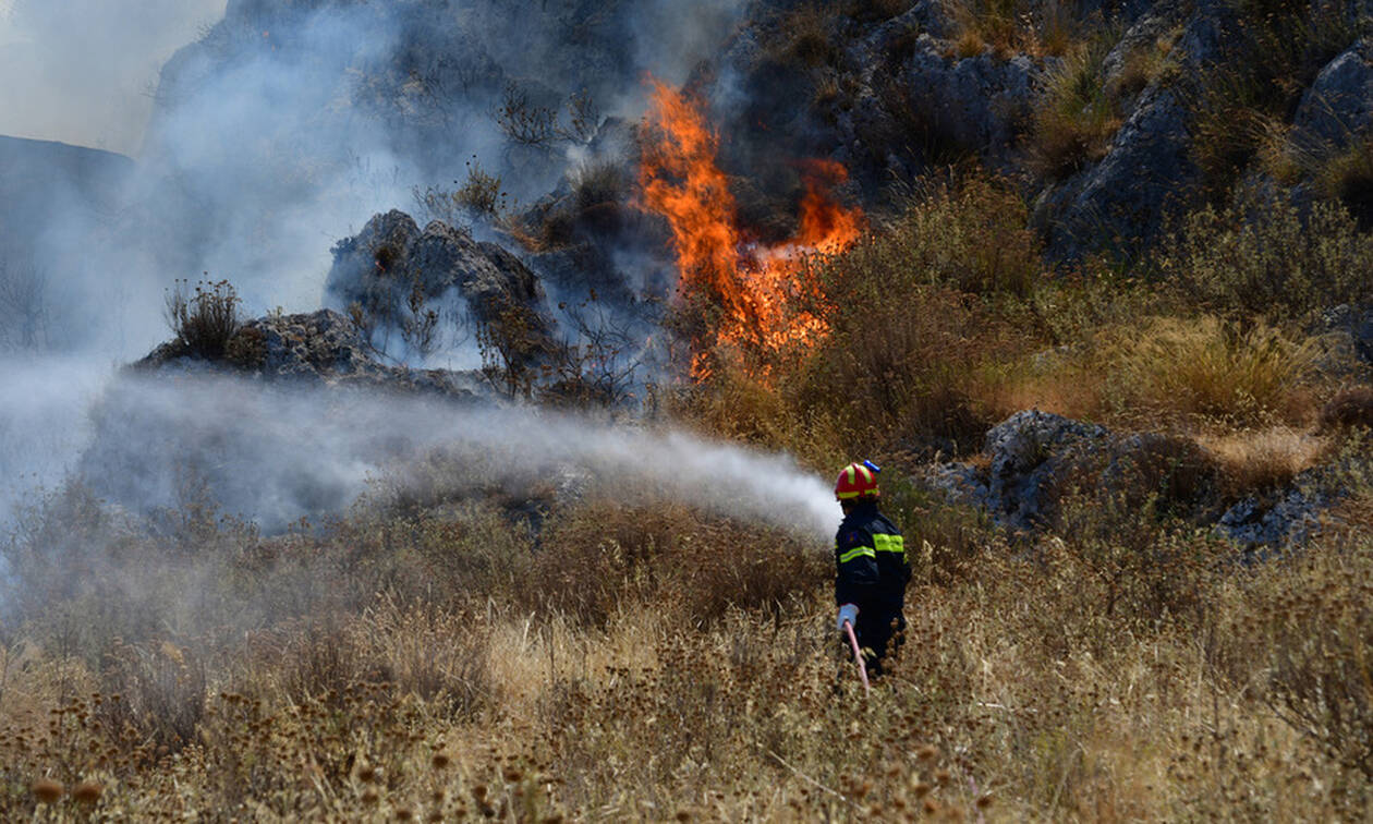 Ζάκυνθος: Σε ύφεση η πυρκαγιά ανάμεσα στα χωριά Αγαλάς και Κοιλιωμένος