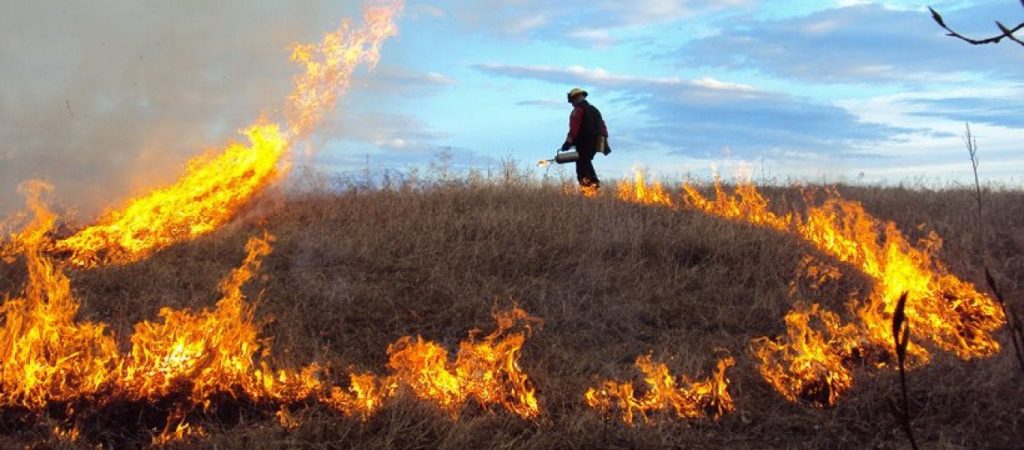 Πρωτοφανές επεισόδιο στον Πύργο: Συμπλοκή πυροσβεστών με εμπρηστή – Τους επιτέθηκε με μανία και προκάλεσε τροχαίο