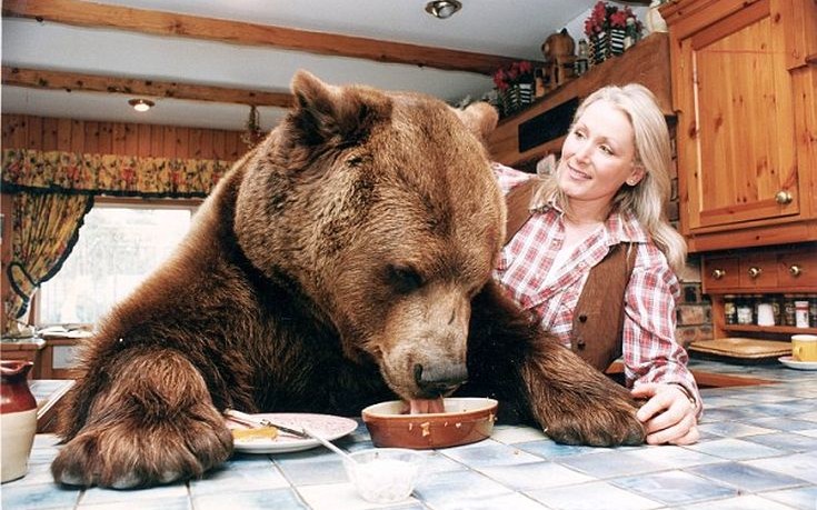 To ζευγάρι που μεγάλωσε για κατοικίδιο μία αρκούδα