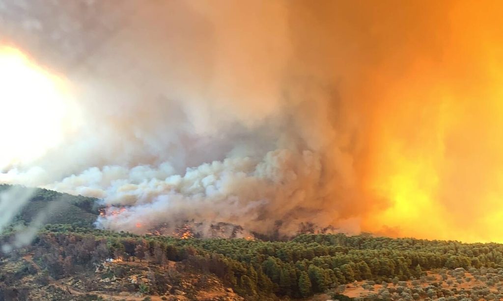 Άρση τηλεφωνικού απορρήτου για τους τρεις βασικούς υπόπτους εμπρησμού στην Εύβοια