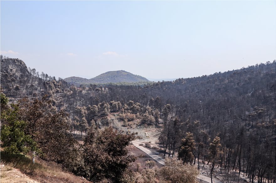 Οριοθετήθηκε η φωτιά στην Εύβοια- Που επικεντρώνονται οι έρευνες της Πυροσβεστικής(φώτο)