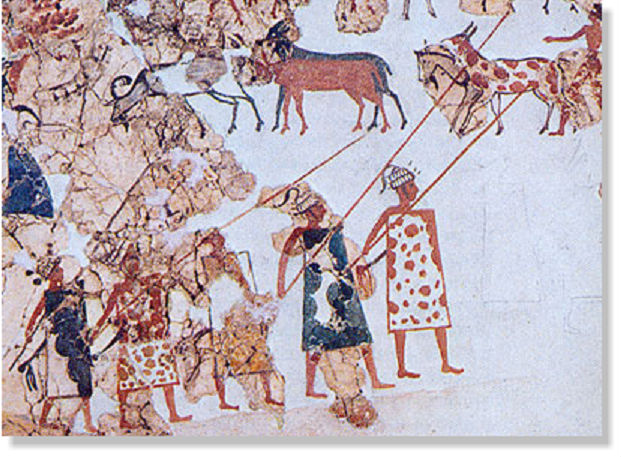 Μυκηναίοι πολεμιστές: Η τελειότερη πολεμική μηχανή της εποχής τους