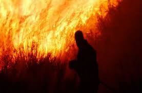 Αυτό είναι το προφίλ του εμπρηστή στην Ελλάδα – Τι δίνουν τα στοιχεία