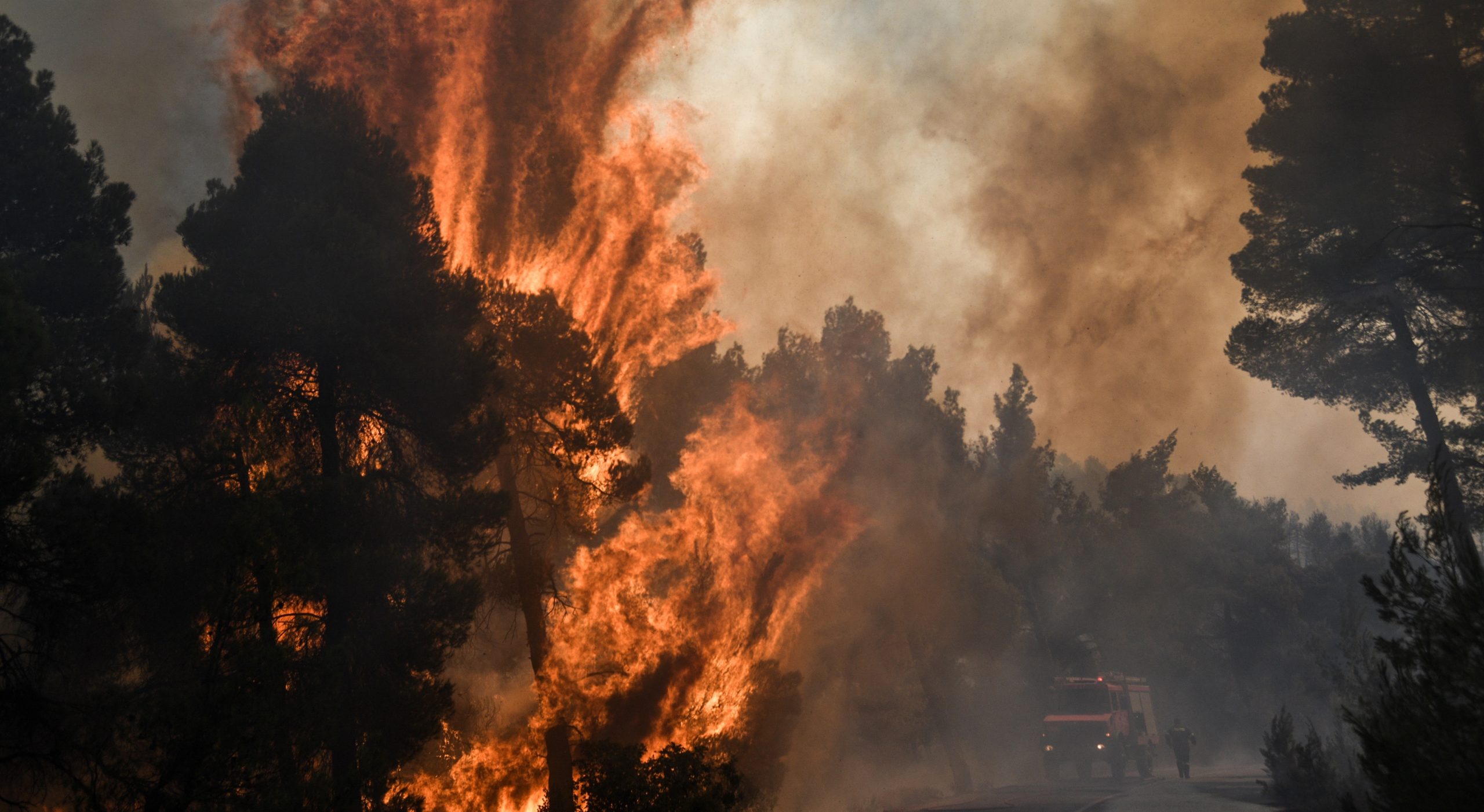 Φωτιά στις Ερυθρές Αττικής: Καίει δάσος στον Κιθαιρώνα – Σε συναγερμό η Πυροσβεστική