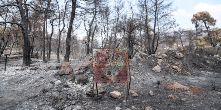Eύβοια: Χαρτογραφήθηκε η περιοχή που κάηκε – Tρομακτικών διαστάσεων η οικολογική καταστροφή (φωτο)