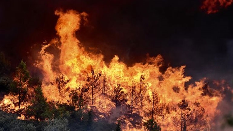 Καρέ-καρέ καταγεγραμμένα τα πρώτα λεπτά της πυρκαγιάς στη Εύβοια