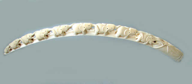 Κένυα: Προειδοποίηση για τουρίστριες – Στη φυλακή μπορεί να καταλήξουν αν φοράνε βραχιόλια από ελεφαντόδοντο (φωτο)