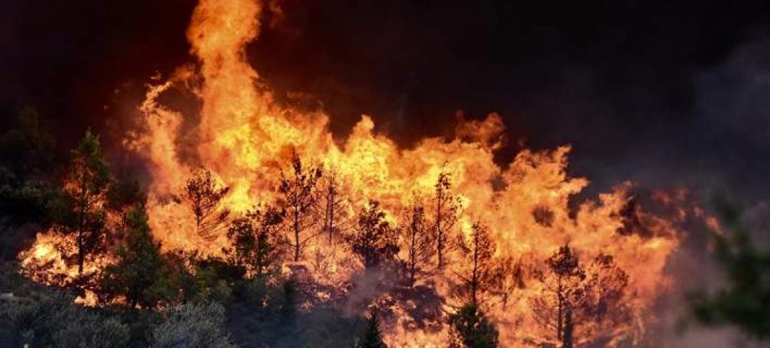 Πυρκαγιά ξέσπασε στη κοινότητα Βαρικού στη Φλώρινα